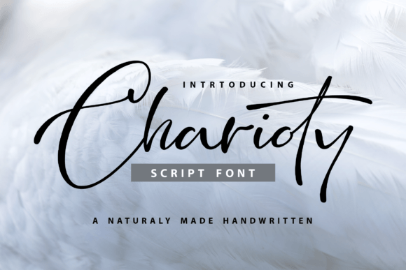 Charioty: A Stylish Script Font