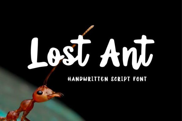 Lost Ant Font for Creative Design